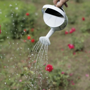 Kỹ thuật phun thuốc qua lá