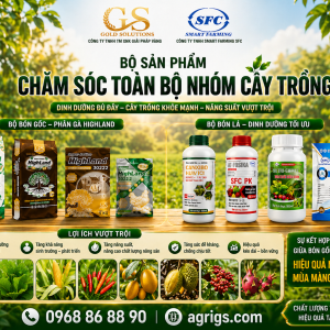 PHÂN BÓN GỐC HỮU CƠ HIGHLAND  VÀ PHÂN BÓN LÁ SFC _ COMBO TOÀN DIỆN CHO CÂY TRỒNG