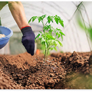 Phân bón hữu cơ – Xu hướng phát triển nông nghiệp bền vững