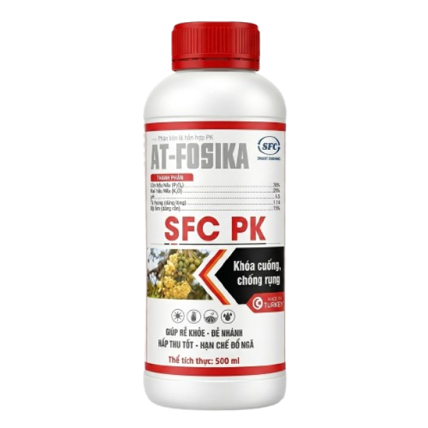 AT-FOSIKA - SFC PK